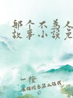 那个不为人知的故事小说免费的