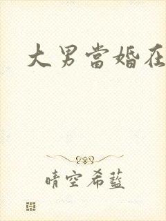 大男当婚在线