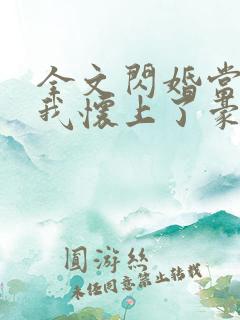 全文闪婚当天,我怀上了豪门继承人