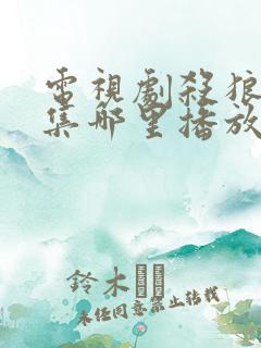 电视剧杀狼40集哪里播放
