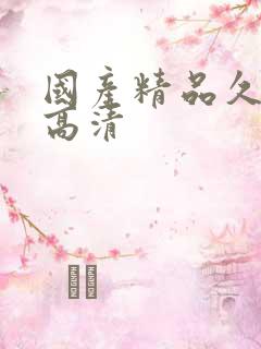 国产精品久久久高清