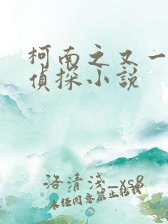 柯南之又一个名侦探小说