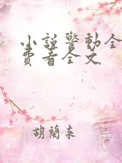 小说警动全城免费看全文