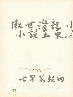 傲世潜龙 小说 小说王东,唐潇