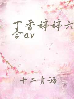 丁香婷婷六月综合av