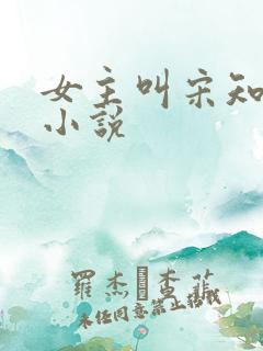 女主叫宋知意的小说