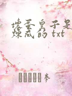 坏蛋皇子是怎样炼成的 txt