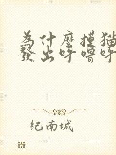 为什么摸猫咪会发出呼噜呼噜的声音