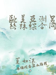 欧美亚洲另类 丝袜综合网丶