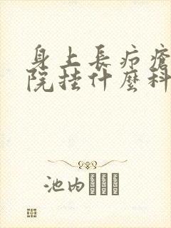 身上长疖疮去医院挂什么科