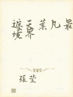 遮天叶凡最后的境界