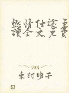 燃情仕途免费阅读全文免费全文阅