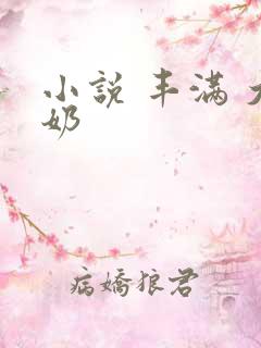 小说 丰满 大奶