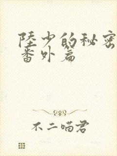 陆少的秘密恋人番外篇