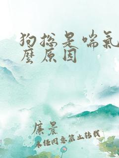 狗总是喘气是什么原因