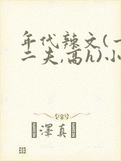 年代辣文(一女二夫,高h)小说