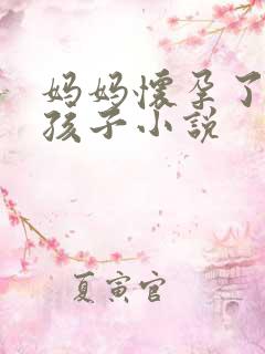 妈妈怀孕了我的孩子小说