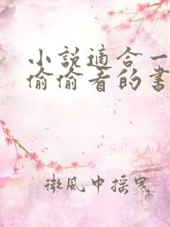 小说适合一个人偷偷看的书言情推荐完结
