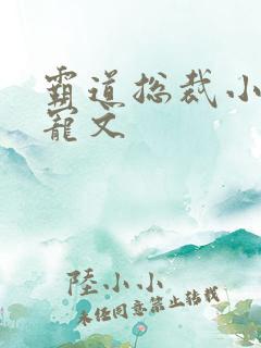 霸道总裁小说甜宠文