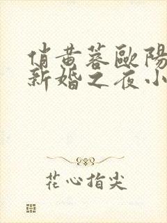 俏黄蓉欧阳克的新婚之夜小说