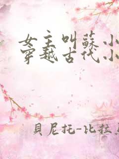 女主叫苏小小的穿越古代小说