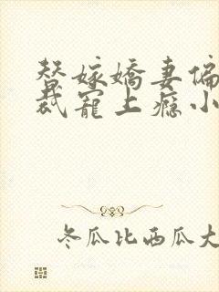 替嫁娇妻偏执总裁宠上瘾小说