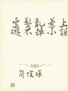 云鬓乱惹上权臣逃不掉小说全文免费阅读