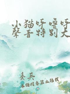 小猫呼噜呼噜的声音特别大