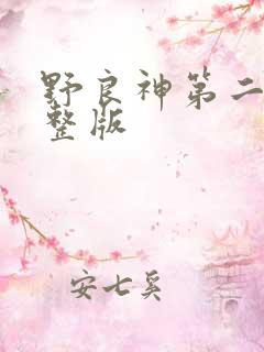 野良神第二季完整版