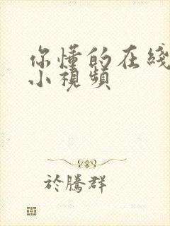 你懂的在线日韩小视频