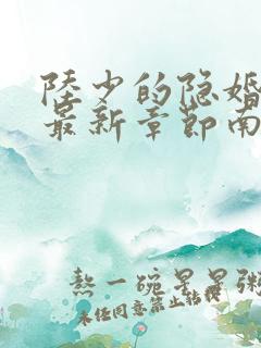 陆少的隐婚罪妻最新章节南溪