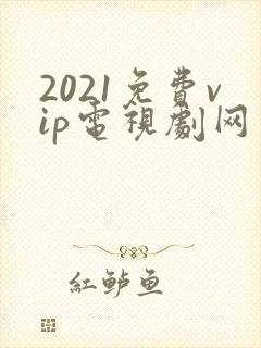 2021免费vip电视剧网