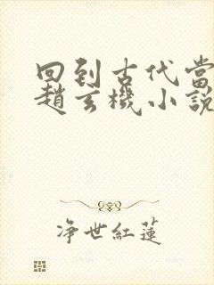 回到古代当太子赵玄机小说