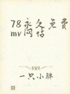 78永久免费看mv网站