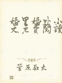 婚里婚外小说全文免费阅读