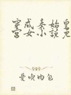 穿成秦始皇的小宫女小说免费阅读