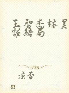 王智杰林昊f小说结局