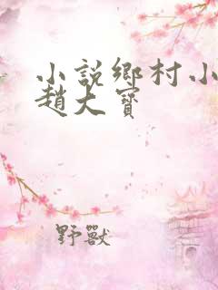 小说乡村小神医赵大宝