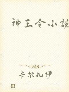 神王令小说免费