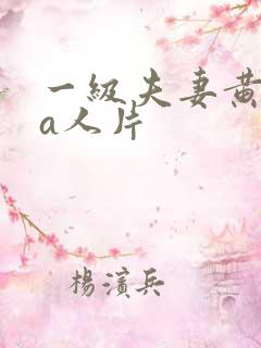 一级夫妻黄录像a人片