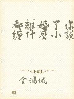 都离婚了你还纠缠什么小说