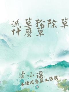 灭草松除草剂灭什么草