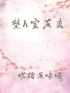 双h室友爽