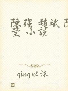 陈强 赵斌 陈莹 小说