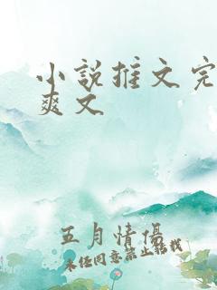 小说推文完结文爽文