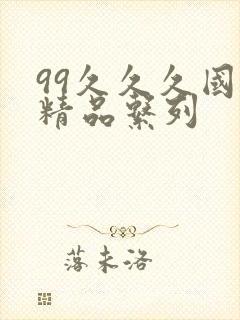 99久久久国产精品系列