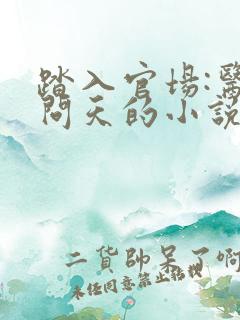 踏入官场:医道问天的小说