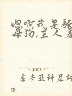 嗯啊我是骚货,母狗,主人羞辱