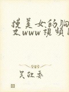 摸美女的胸又大又www视频网站