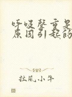 呼吸声重是什么原因引起的